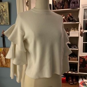 Ruffle Sleeve Sweater